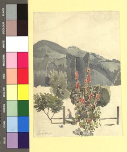 Studie (Landschaft mit Pappelrosen) od Thomas Ender