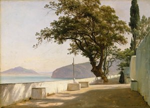 Terasa s dubem, Sorrento od Thomas Fearnley