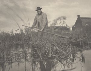 Řezání Gladdonu, 1886 (foto)