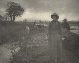 Poling the Marsh Hay, 1886 (foto)