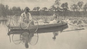 Nastavení sítě na luk, 1886 (foto)