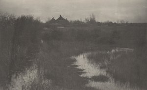 Okraj bažiny, 1886 (foto)