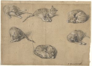 Šest studií o kočce od Thomas Gainsborough