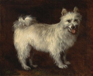 Spitz Pes od Thomas Gainsborough