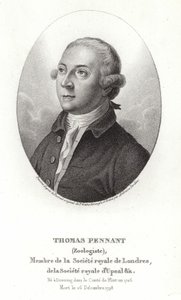 Thomas Pennant od Thomas Gainsborough