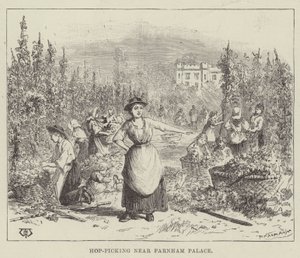 Hop-Picking poblíž Farnhamského paláce od Thomas Harrington Wilson