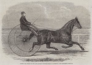 Jackey, vítěz pozdějšího dostihu Aintree Trotting Stakes v Liverpoolu od Thomas Harrington Wilson