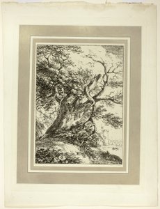 Starý strom, z prvního čísla Vzorků polyautografie od Thomas Hearne