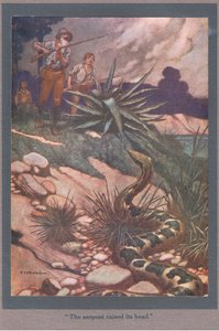 Had zvedl hlavu (barevná litografie) od Thomas Heath Robinson