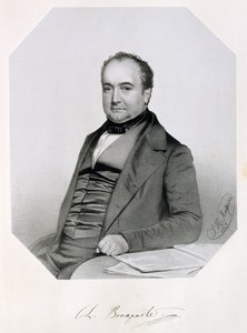 Charle Lucien Jules Laurent Bonaparte, princ z Canina a Musignana (1803-57) 1850