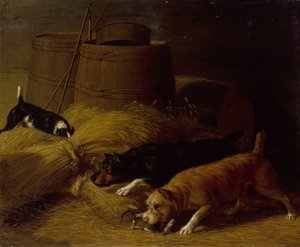 Krysy mezi ječmennými snopy, 1851.