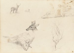 Náčrtník krajinných a živočišných předmětů, 1860-64.