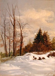 Catskill zimní krajina
