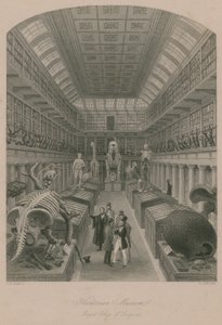 Hunterian Museum, Royal College of Surgeons, Londýn od Thomas Hosmer Shepherd