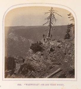 "Wahwonah" - Nebo Big Tree Point