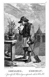 Zahradník vonící po karafiátu nebo růžovém Dianthus, c1750