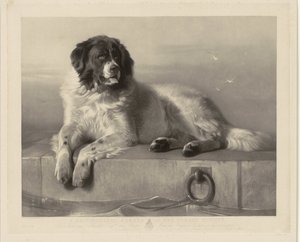 Portrét záchranářského psa Boba, ležícího na molu Významný člen Humane Society (titul na předmětu) od Thomas Landseer
