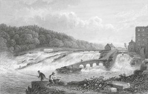 Lososí skok v Coleraine, Co Londonderry (rytina)