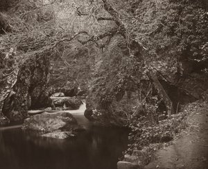 Dargle Hole, c. 1865. od Thomas Marcus Brownrigg