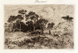 Jižní vítr od Thomas Moran