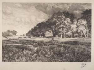 Krajina na Long Islandu od Thomas Moran