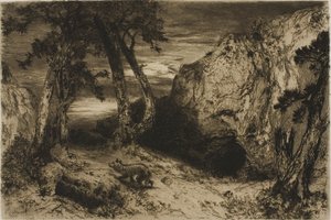 Kojot - Arizona od Thomas Moran