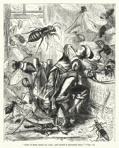 Ilustrace pro Gulliver