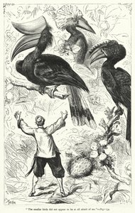 Ilustrace pro Gulliver