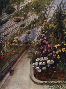 Kew Gardens: The Green House (barevné lito)