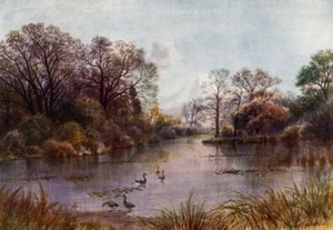Kew Gardens: The Lake (barva litho)