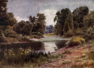 Kew Gardens: Jezero při pohledu na jih (barva lito)