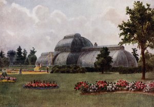 Kew Gardens: The Palm House (barevné lito) od Thomas Mower Martin