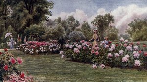 Kew Gardens: Pivoňky (barva litho)