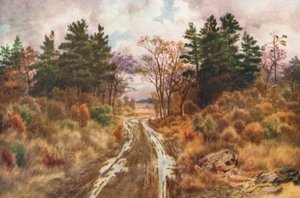 Silnice u zálivu Fundy, podzim (barevná litografie)