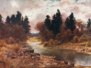  od Thomas Mower Martin
