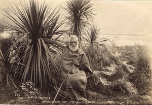 Poslední ze závodu, Matene Korako Wera. Ote Hapu Ngatimamoe, kolem roku 1895 (tisk alba) od Thomas Muir
