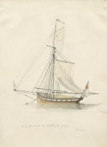Chillington Park - Pool: kresba perem a vodovými barvami, nd [1837-1838] (kresba) od Thomas Peploe Wood