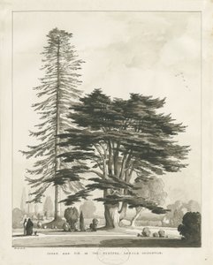 Haughton Rectory: sépiová lavírovaná kresba od Thomas Peploe Wood