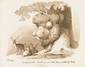 Wolseley Park - Uzel na dubu: kresba perem a sépií od Thomas Peploe Wood