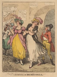 Dvojice žlutých motýlů od Thomas Rowlandson