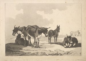 Skupina pěti oslů, tři stojící, dva ležící, 1783-87. od Thomas Rowlandson