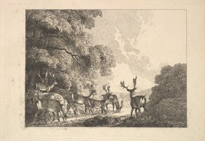 Skupina jelenů pijící, 1784-88. od Thomas Rowlandson