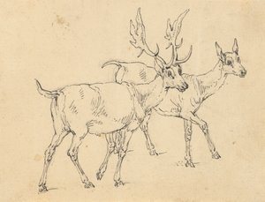 Kresba alba od Thomas Rowlandson