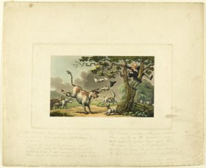 Syntax doktora Pronásledovaný býkem z knihy The Tour of Doctor Syntax od Thomas Rowlandson