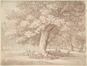 Stádo jelenů pod dubem od Thomas Rowlandson