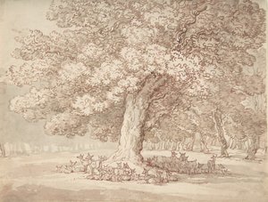 Stádo jelenů pod dubem, 1775-1827. od Thomas Rowlandson