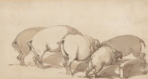 Prasata u koryta od Thomas Rowlandson