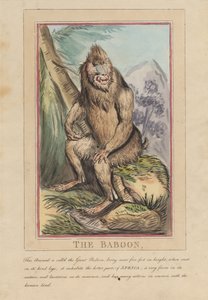 Sada osmi listů s titulní stranou. „Zvířata cizí i domácí.“ 2. Lev od Thomas Rowlandson