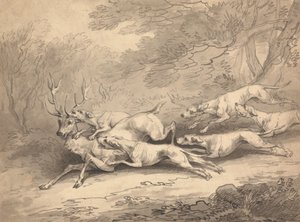 Jelen ulovený smečkou psů od Thomas Rowlandson