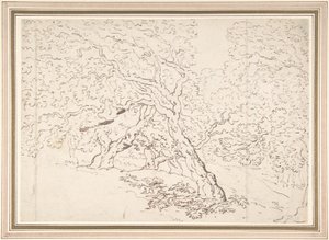 Studium stromů od Thomas Rowlandson